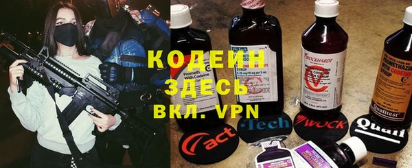 ПСИЛОЦИБИНОВЫЕ ГРИБЫ Абаза