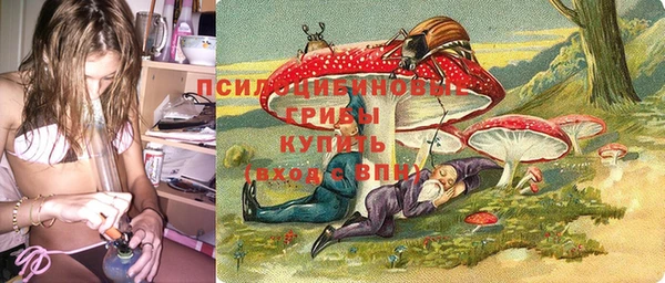ПСИЛОЦИБИНОВЫЕ ГРИБЫ Абаза