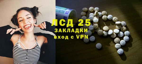 ПСИЛОЦИБИНОВЫЕ ГРИБЫ Абаза