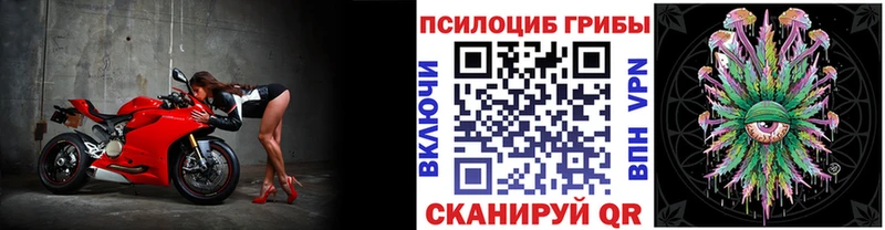 где найти   Алагир  Галлюциногенные грибы Psilocybine cubensis 